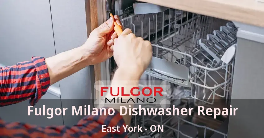 Fulgor Milano Dishwasher Repair East York - ON