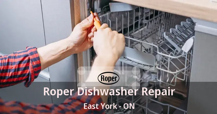 Roper Dishwasher Repair East York - ON