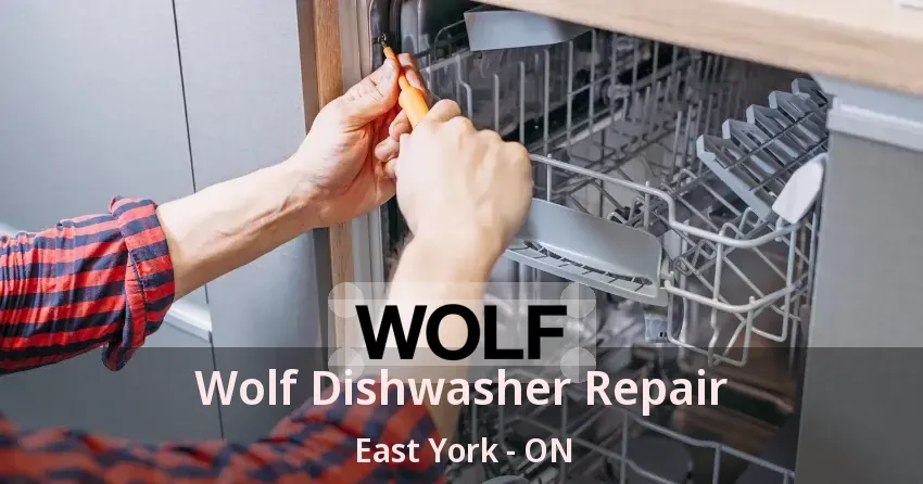 Wolf Dishwasher Repair East York - ON