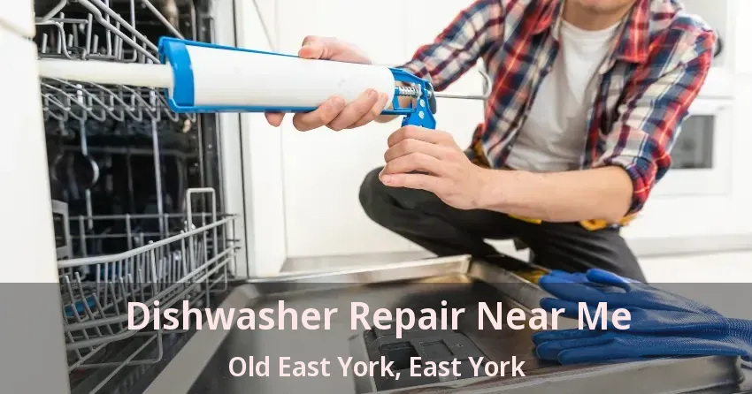 Dishwasher Repair Near Me Old East York, East York - ON