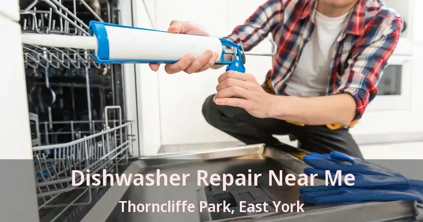Dishwasher Repair Near Me Thorncliffe Park, East York - ON