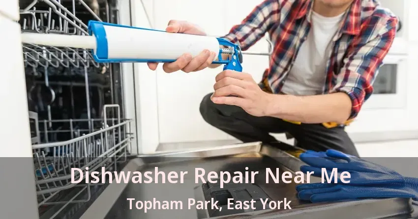 Dishwasher Repair Near Me Topham Park, East York - ON