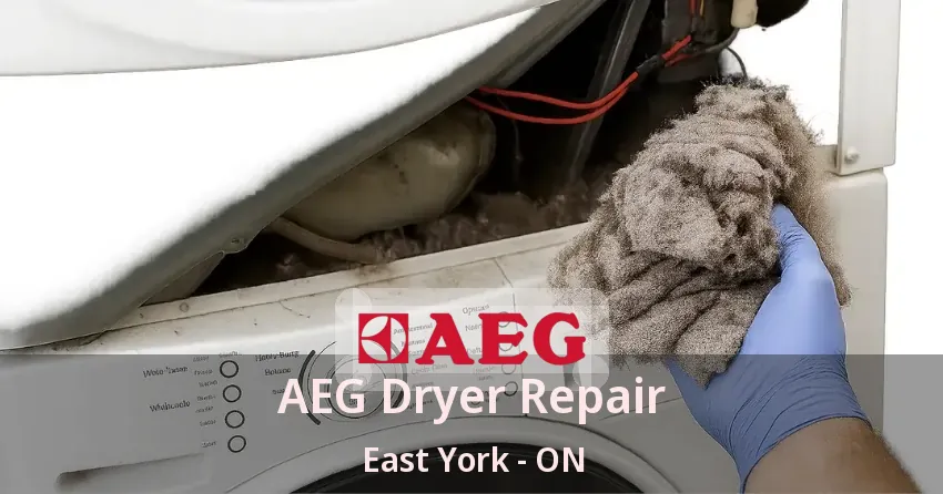 AEG Dryer Repair East York - ON