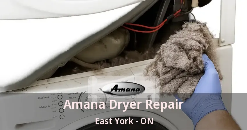 Amana Dryer Repair East York - ON