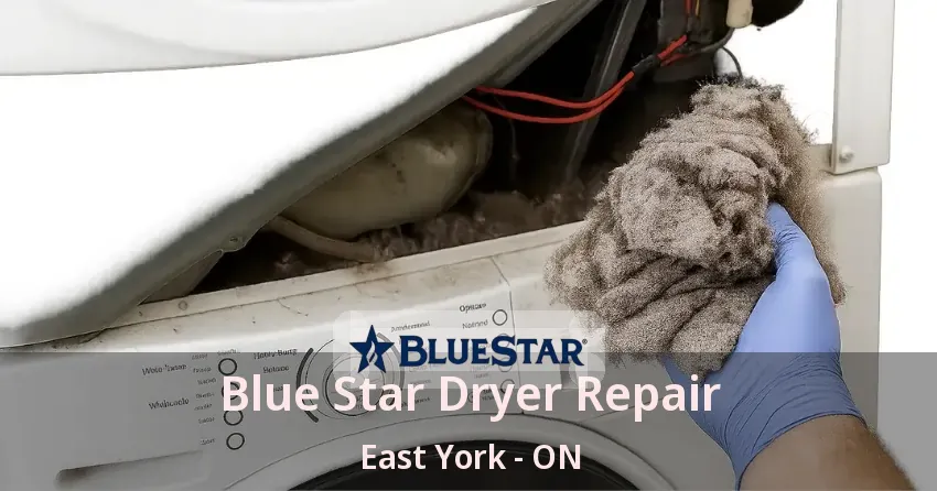 Blue Star Dryer Repair East York - ON