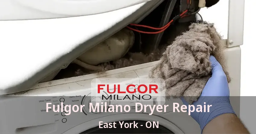 Fulgor Milano Dryer Repair East York - ON