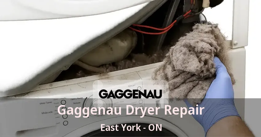 Gaggenau Dryer Repair East York - ON