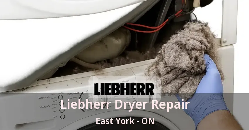 Liebherr Dryer Repair East York - ON