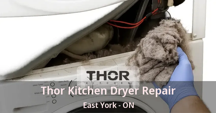 Thor Kitchen Dryer Repair East York - ON