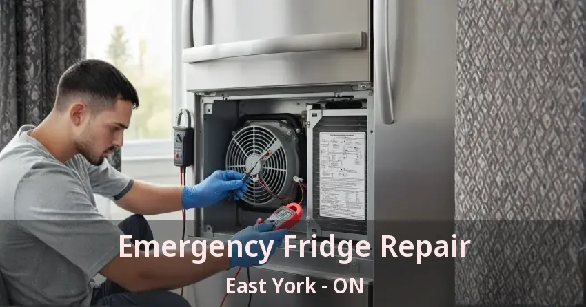 Emergency Fridge Repair East York - ON
