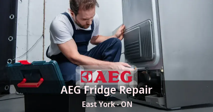 AEG Fridge Repair East York - ON