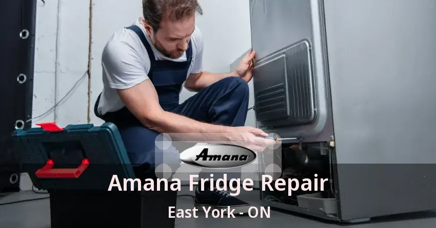 Amana Fridge Repair East York - ON