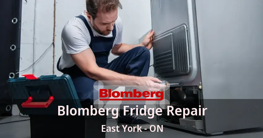 Blomberg Fridge Repair East York - ON