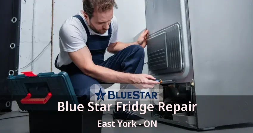 Blue Star Fridge Repair East York - ON