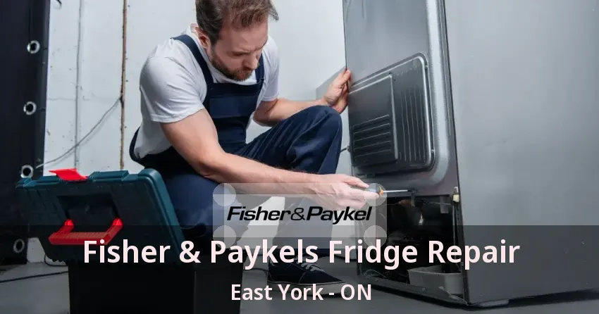 Fisher & Paykels Fridge Repair East York - ON