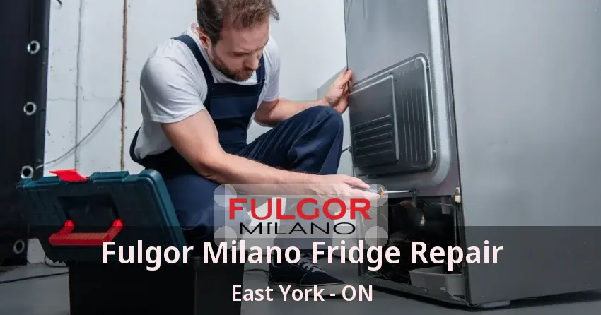 Fulgor Milano Fridge Repair East York - ON