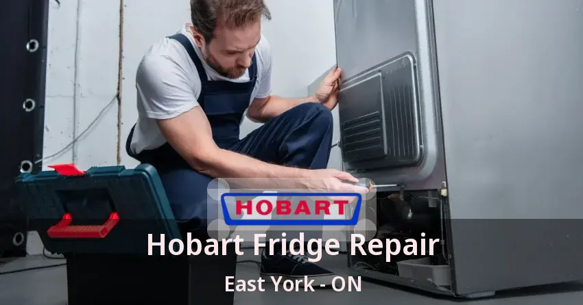 Hobart Fridge Repair East York - ON