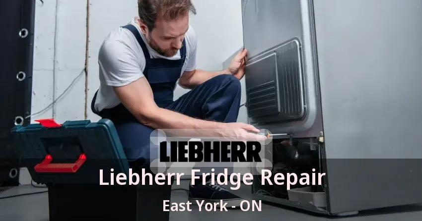 Liebherr Fridge Repair East York - ON