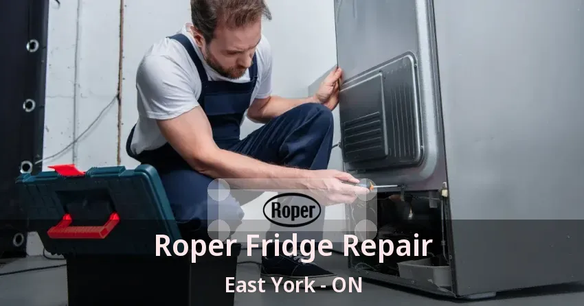 Roper Fridge Repair East York - ON