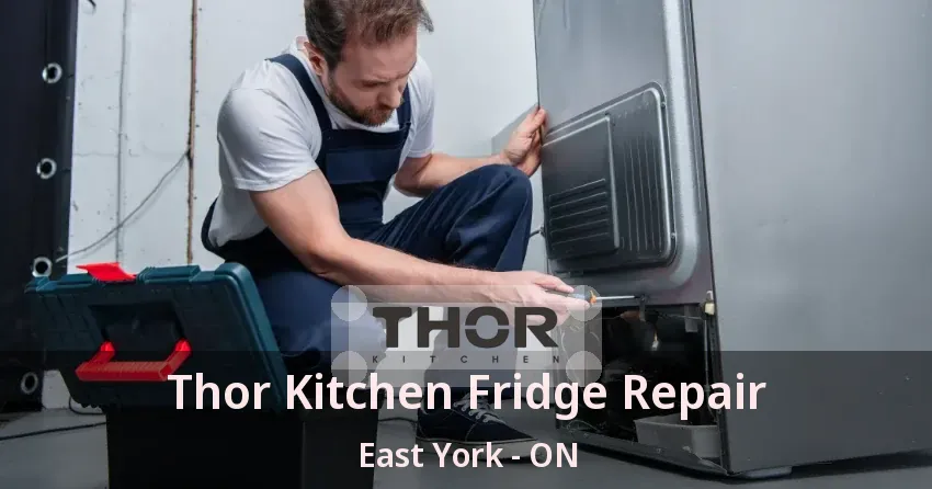 Thor Kitchen Fridge Repair East York - ON