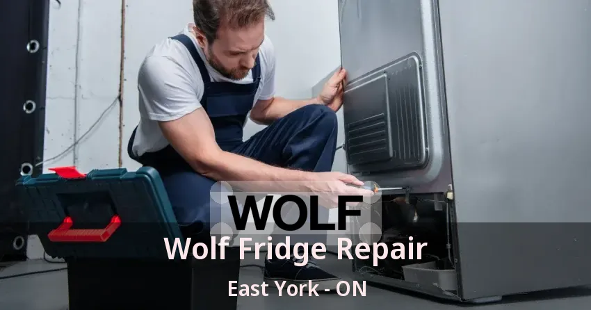 Wolf Fridge Repair East York - ON