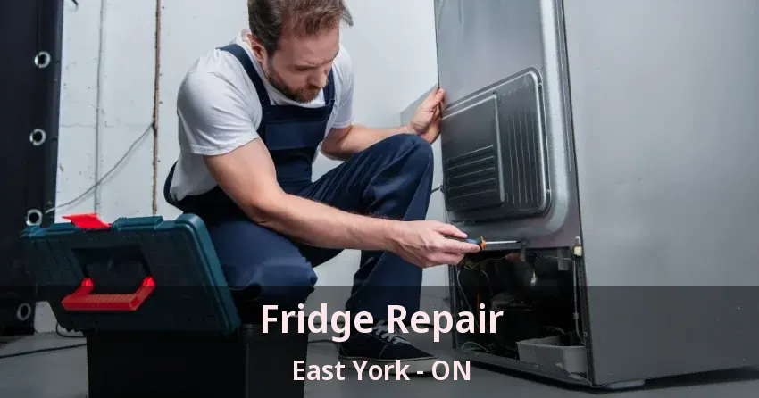Fridge Repair East York - ON