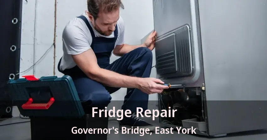 Fridge Repair Governor's Bridge, East York - ON
