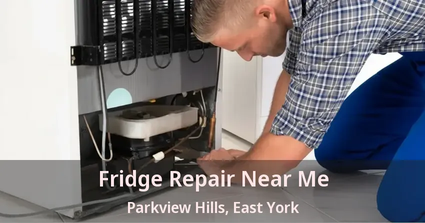 Fridge Repair Near Me Parkview Hills, East York - ON