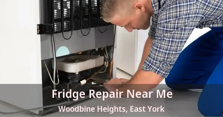 Fridge Repair Near Me Woodbine Heights, East York - ON