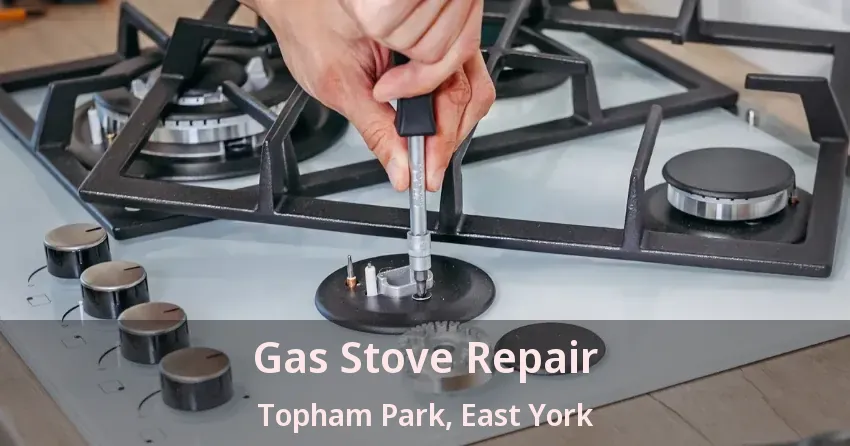 Gas Stove Repair Topham Park, East York - ON