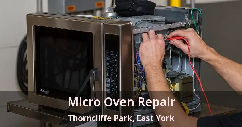 Micro Oven Repair Thorncliffe Park, East York - ON