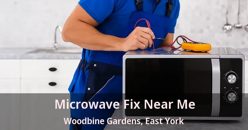 Microwave Fix Near Me Woodbine Gardens, East York - ON