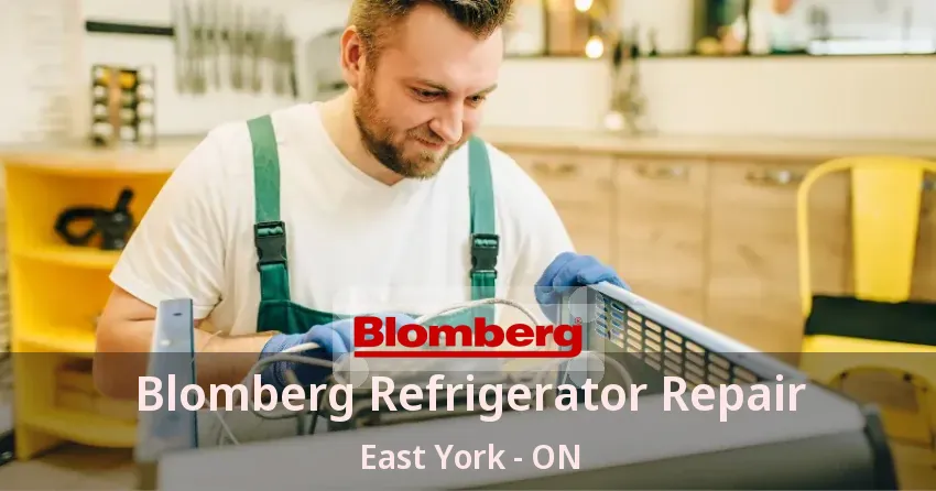 Blomberg Refrigerator Repair East York - ON