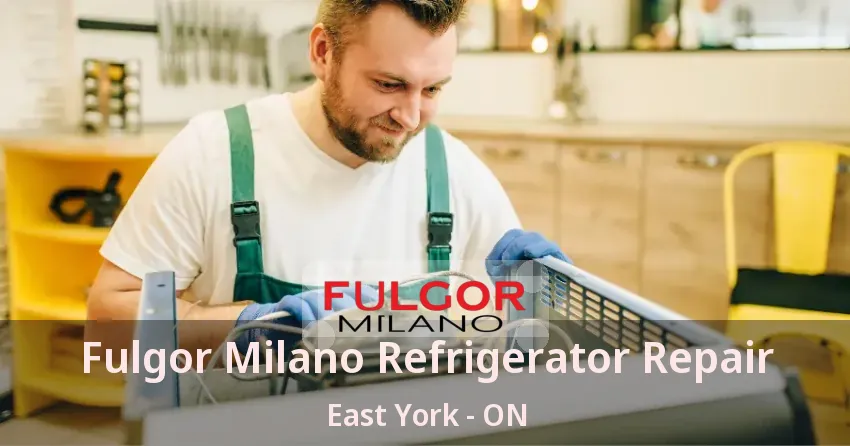 Fulgor Milano Refrigerator Repair East York - ON