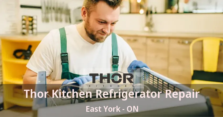 Thor Kitchen Refrigerator Repair East York - ON