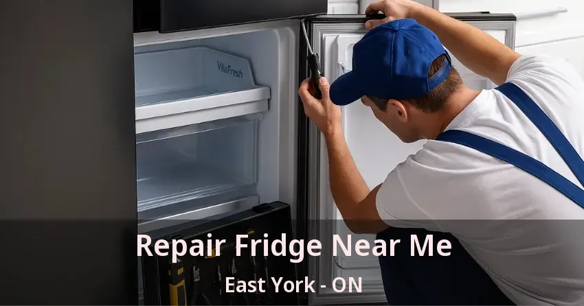 Repair Fridge Near Me East York - ON