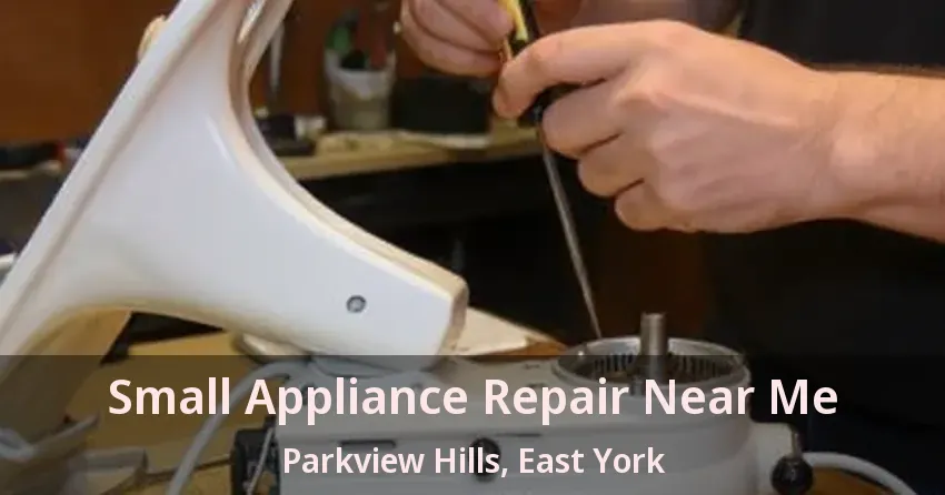 Small Appliance Repair Near Me Parkview Hills, East York - ON
