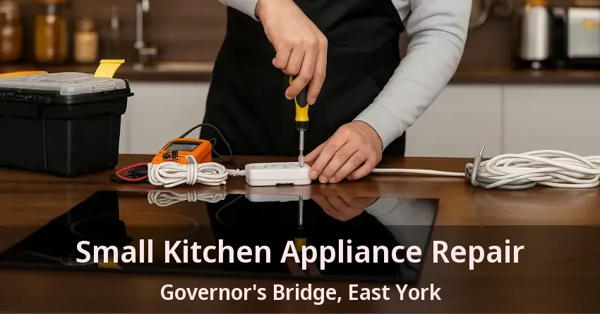 Small Kitchen Appliance Repair Governor's Bridge, East York - ON