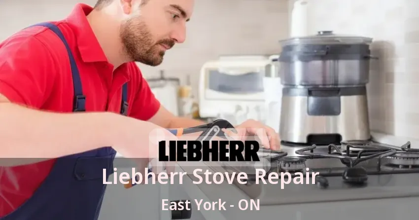 Liebherr Stove Repair East York - ON