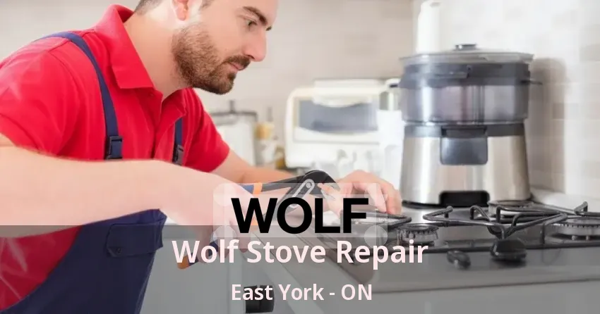 Wolf Stove Repair East York - ON