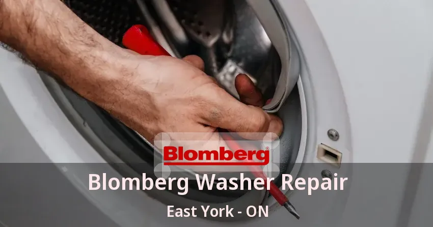 Blomberg Washer Repair East York - ON