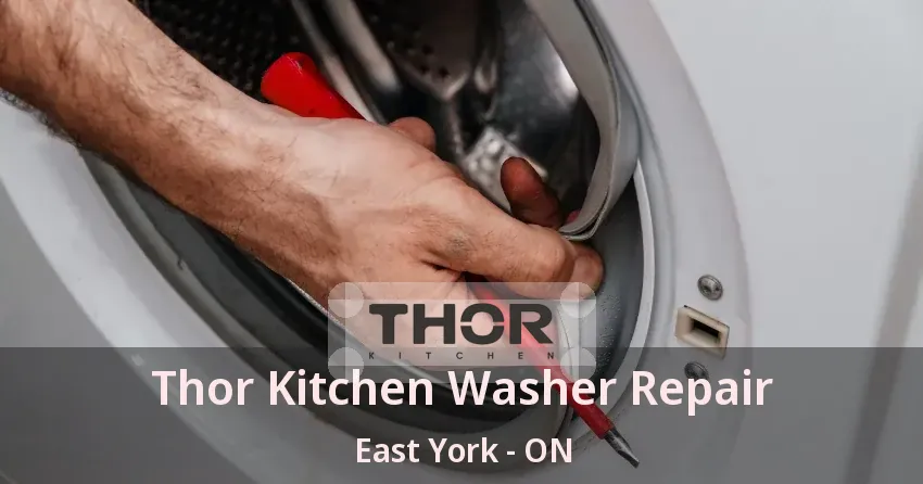 Thor Kitchen Washer Repair East York - ON